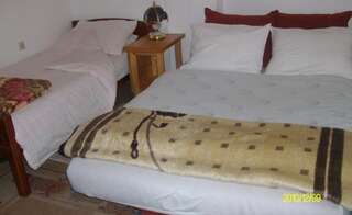 Апартаменты Apartments Vuković Жабляк Трехместный номер с общей ванной комнатой-2